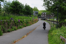 809577 Gezicht op het fietspad door het Griftpark te Utrecht, met links de vegetatiemuur en rechts de Biltsche Grift.